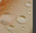 Homeopathy